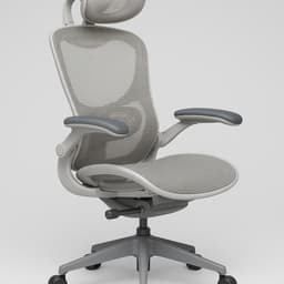 Sihoo Doro C300